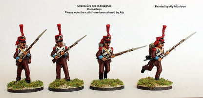French Napoleonic Infantry Battalion 1807-14-Perry Miniatures-Radaddel